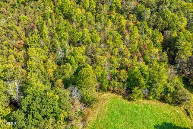 $833,000 | 317 Handy Lane, Rogersville, TN 37857