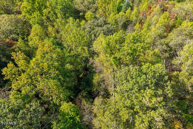 $833,000 | 317 Handy Lane, Rogersville, TN 37857