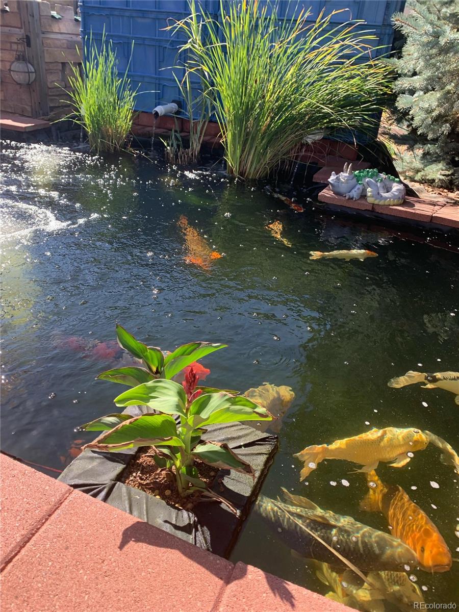 6943 Saddleback Avenue Firestone, CO 80504 - Photo 40 of 40