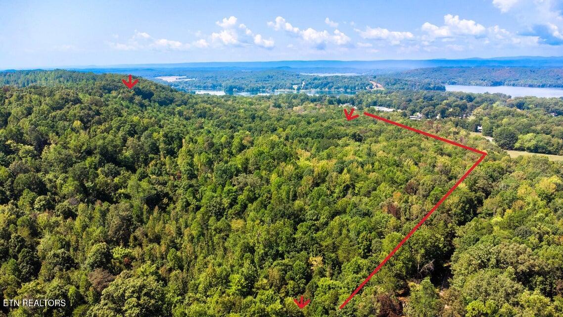 9 Pleasant Hill Road Ten Mile, TN 37880 - Photo 7 of 8 aerial 1