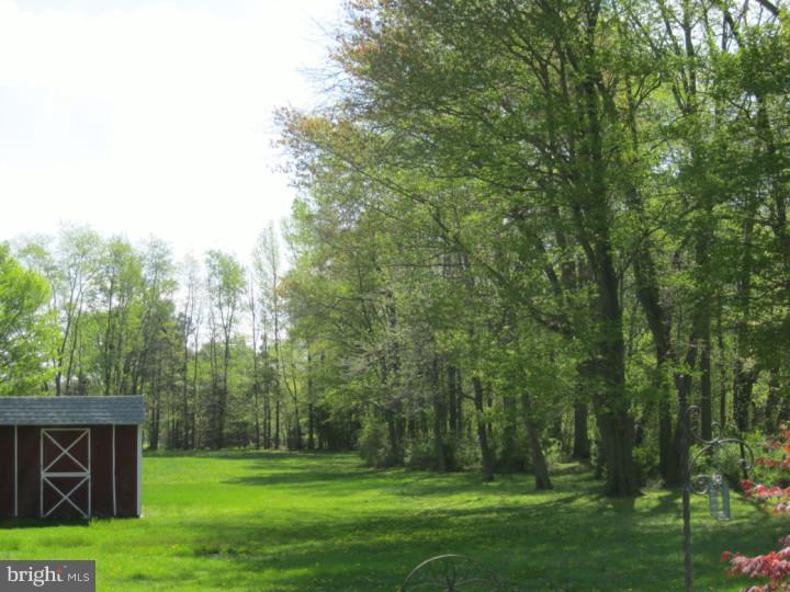 3129 Frazer Road Bear, DE 19701 - Photo 21 of 24 Back Yard