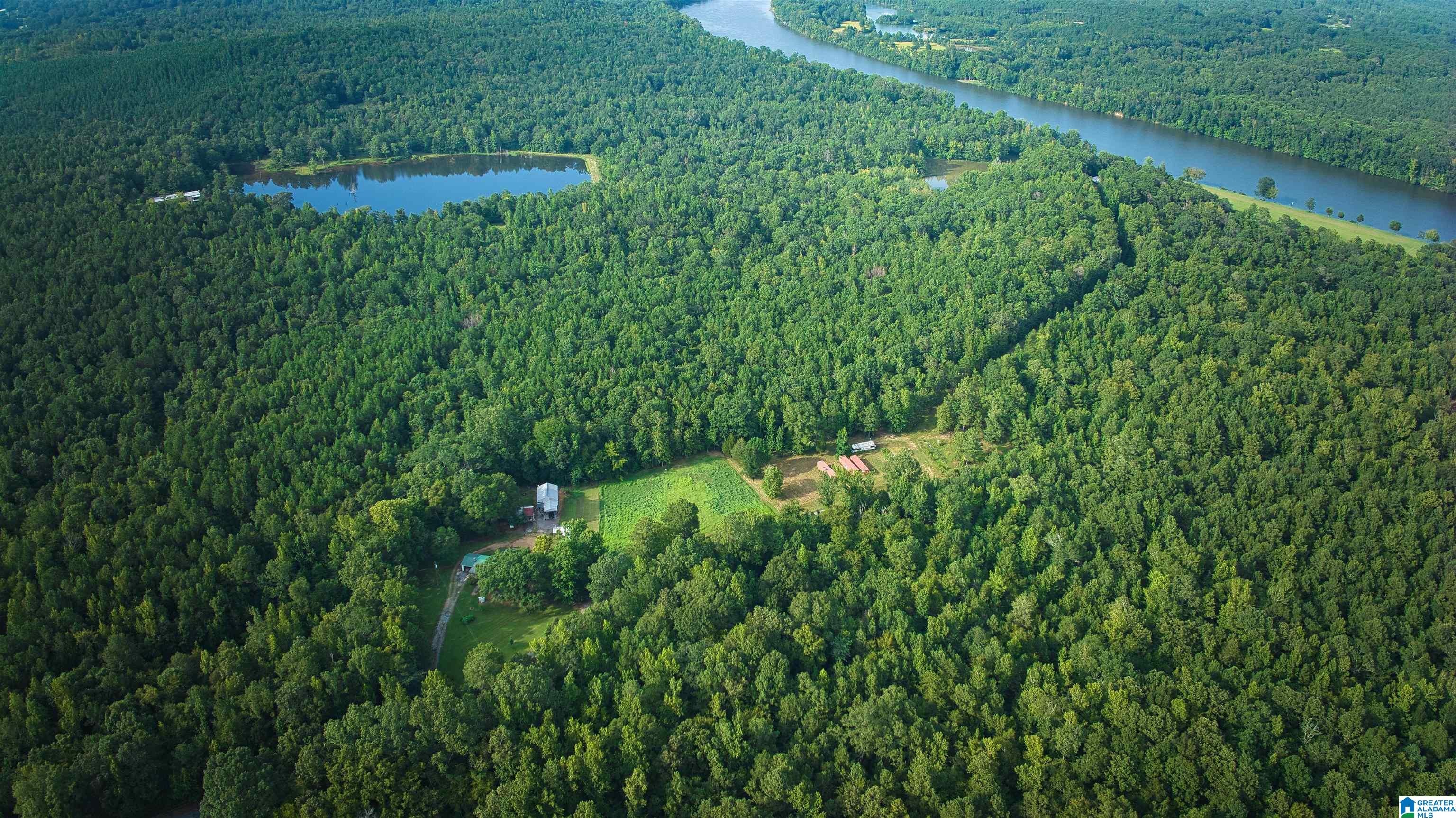 Lot 20 Wester Road, Unit LOT 20 Ragland, AL 35131 - Photo 52 of 68