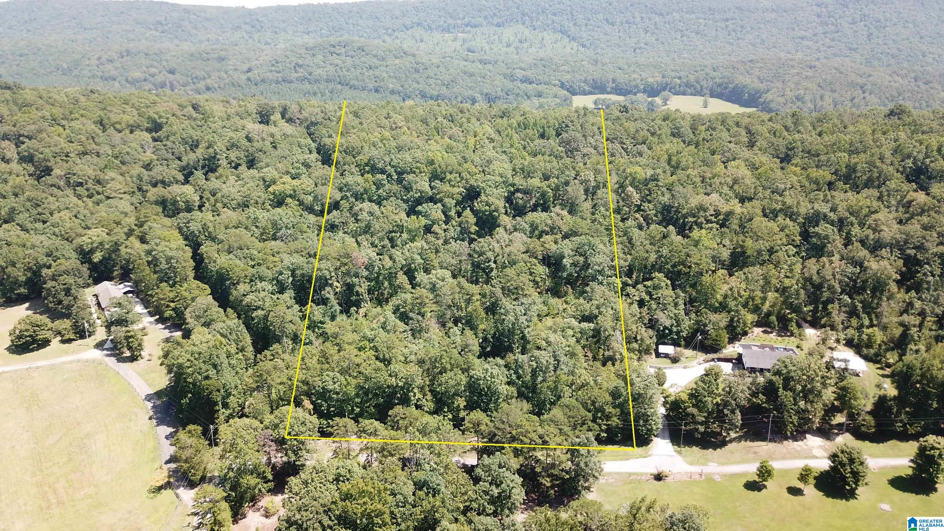 0 Taylor Road, Unit 10 2 Remlap, AL 35133 - Photo 3 of 25