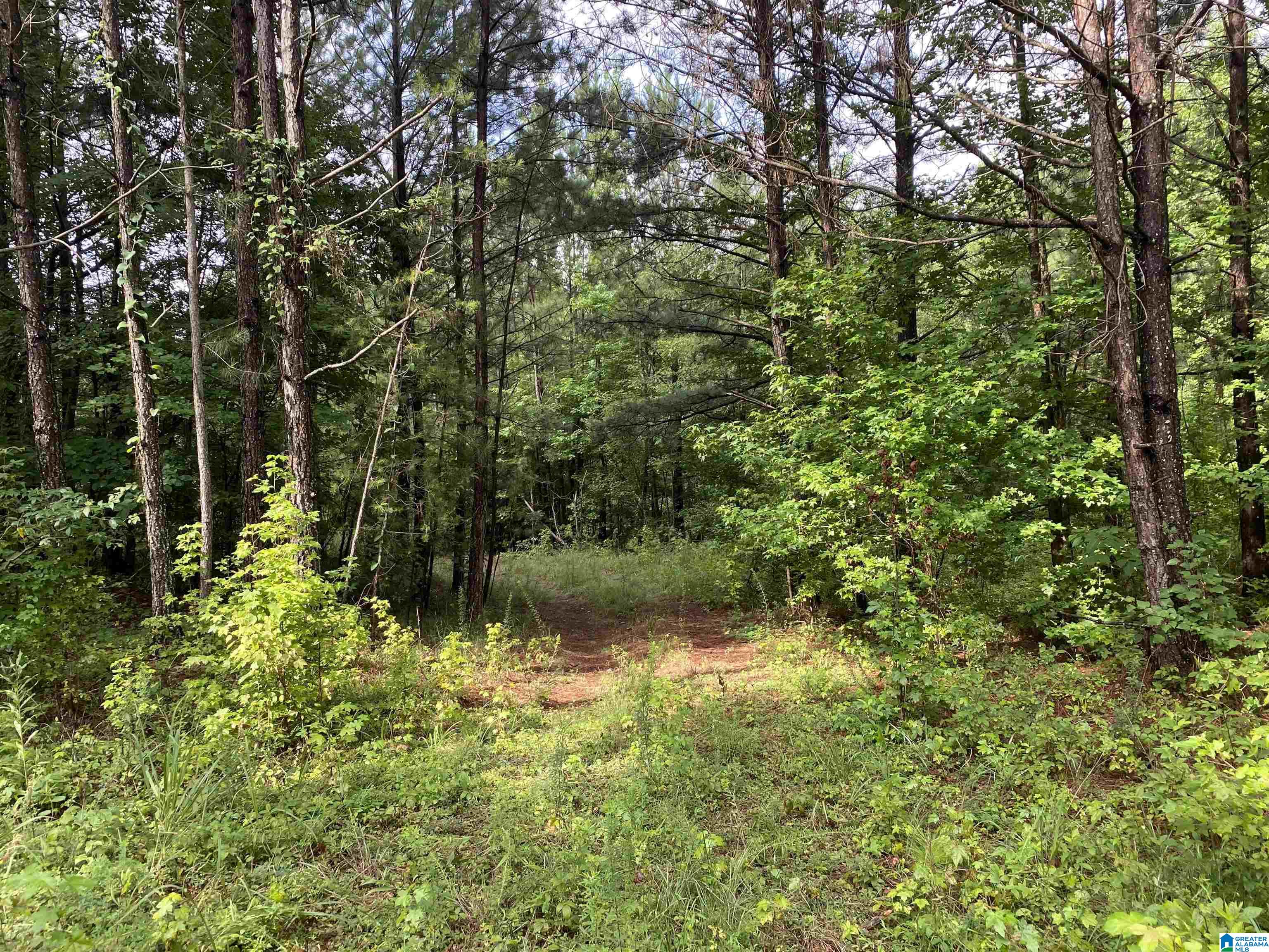 Bull Hollow Road, Unit 60 Odenville, AL 35120 - Photo 21 of 25