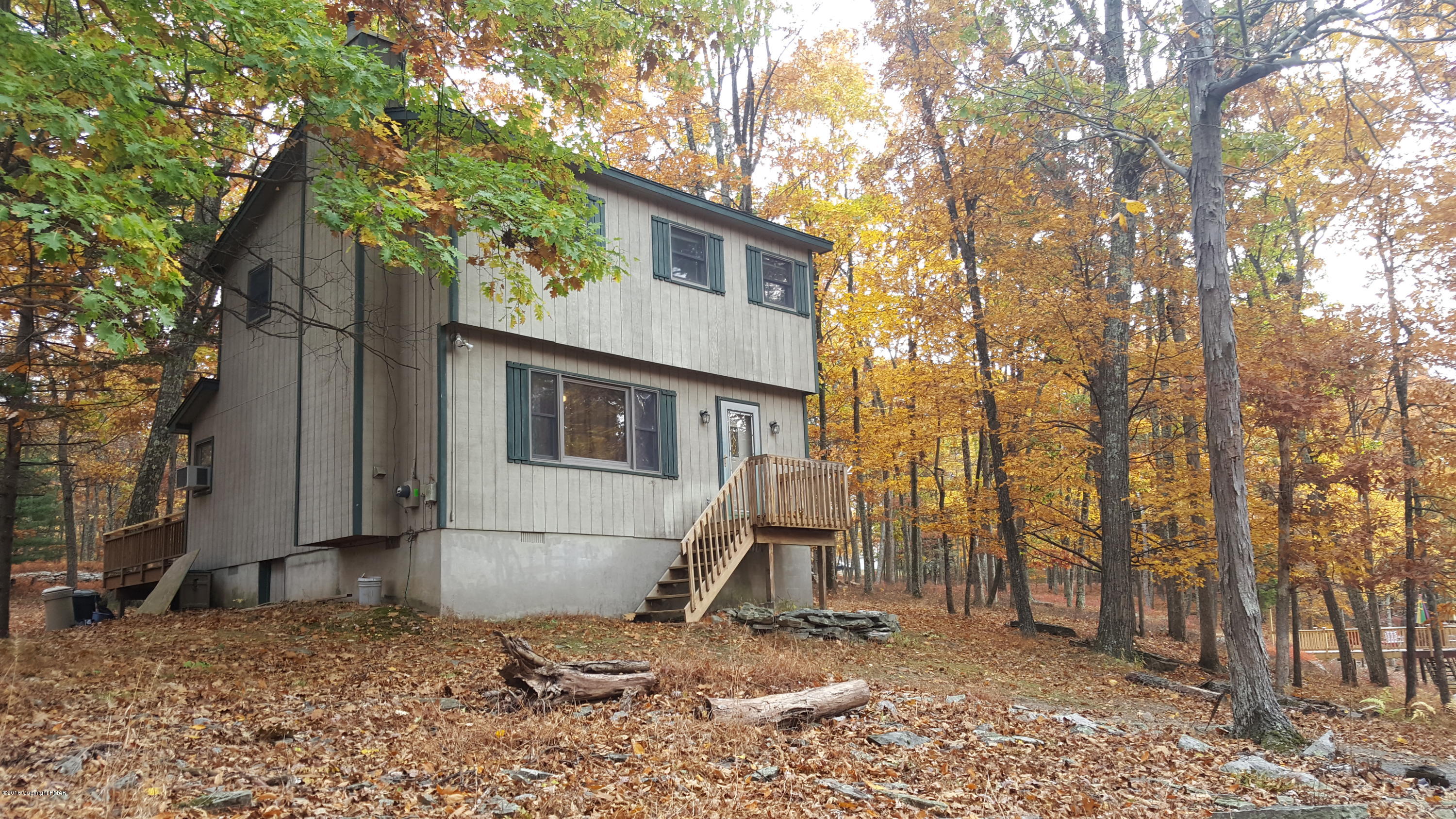 a view of backyard with a large tree