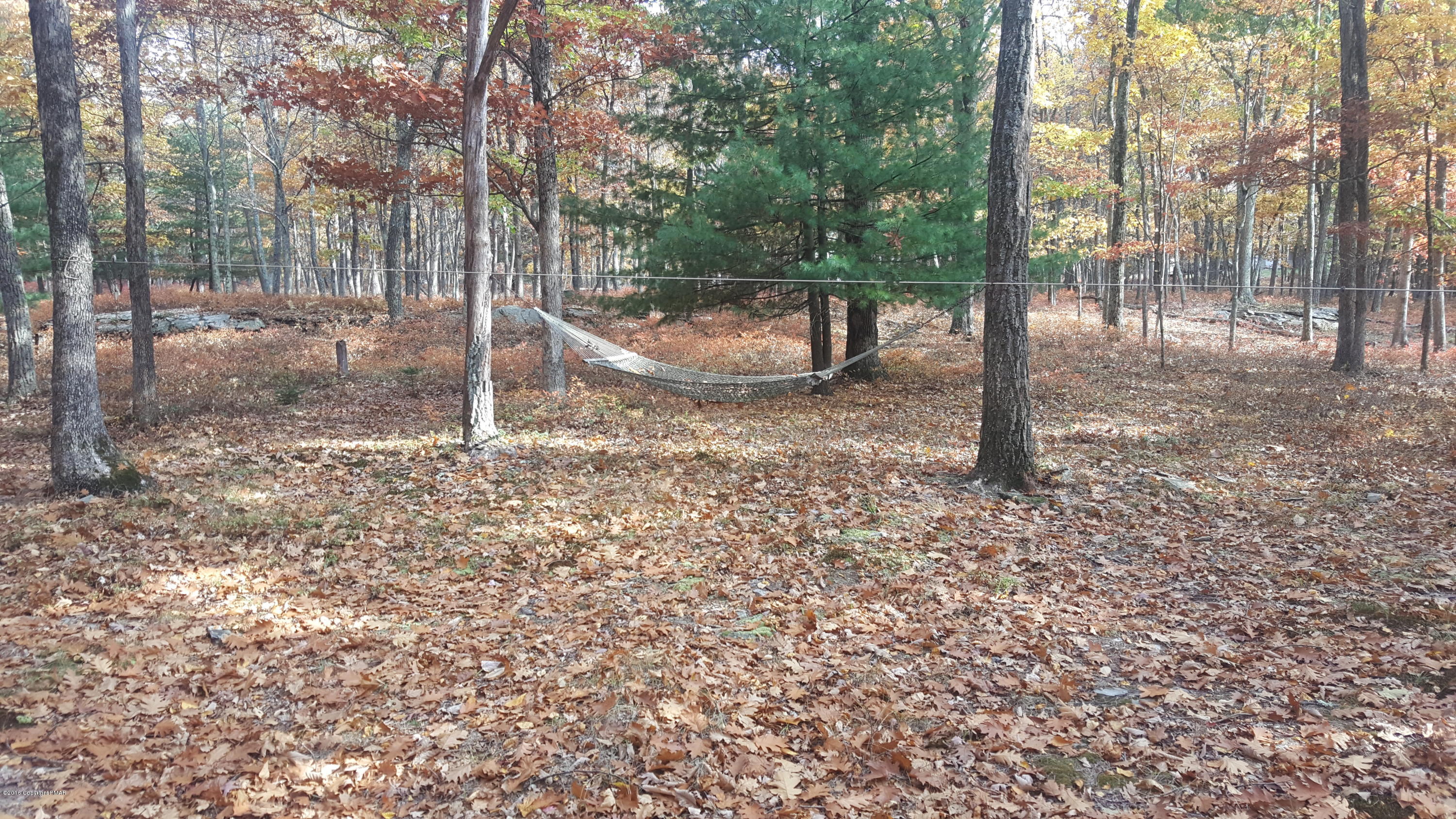 114 Weasel Road Dingmans Ferry, PA 18328 - Photo 31 of 51 a view of a yard with a tree