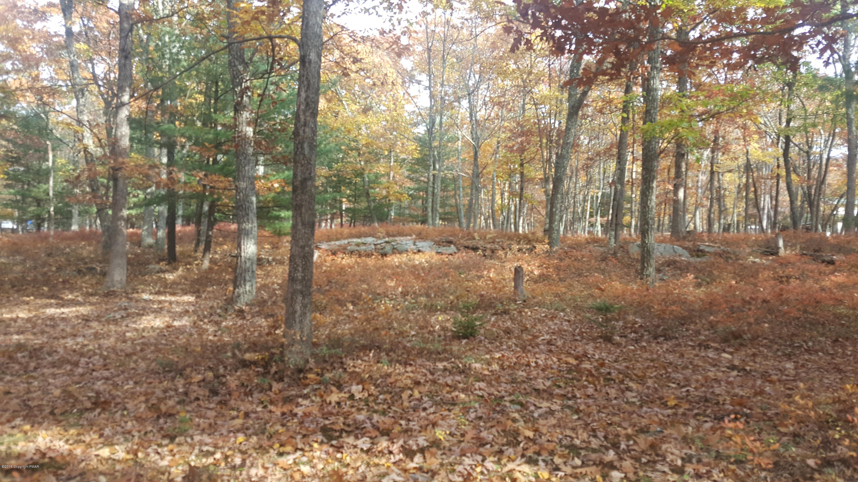 114 Weasel Road Dingmans Ferry, PA 18328 - Photo 33 of 51 a view of dirt yard with trees