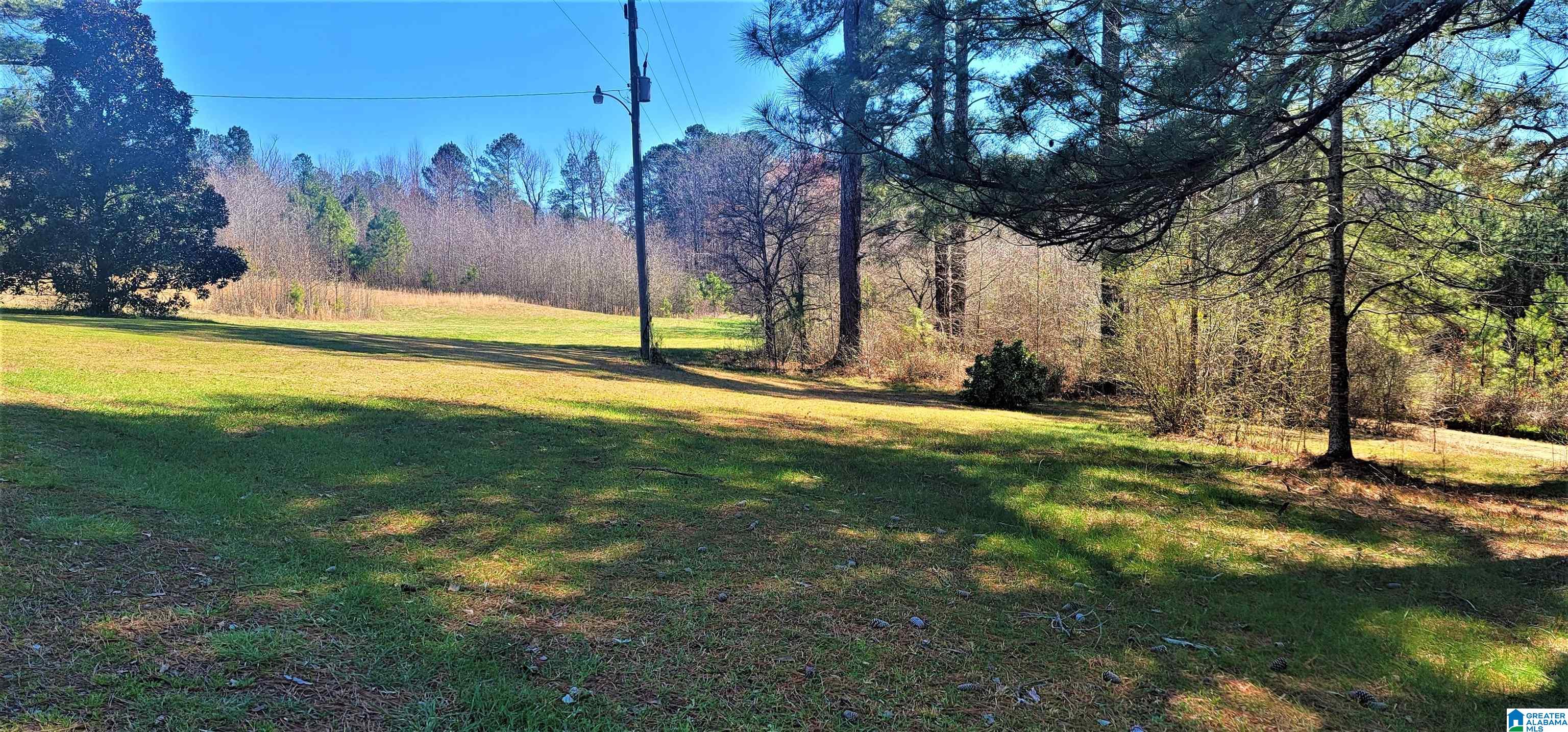 14511 Highway 46 Heflin, AL 36264 - Photo 8 of 36