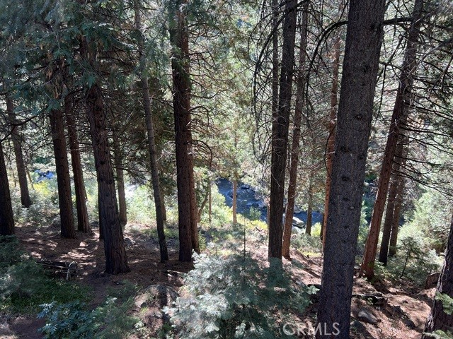 3881 State Rte A13 Hamilton Branch, CA 96137 - Photo 3 of 25 View of the Creek