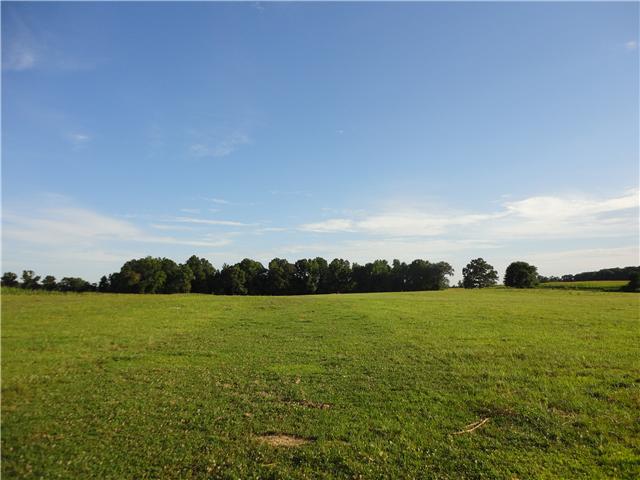 0 Williams Road Manchester, TN 37355 - Photo 1 of 3