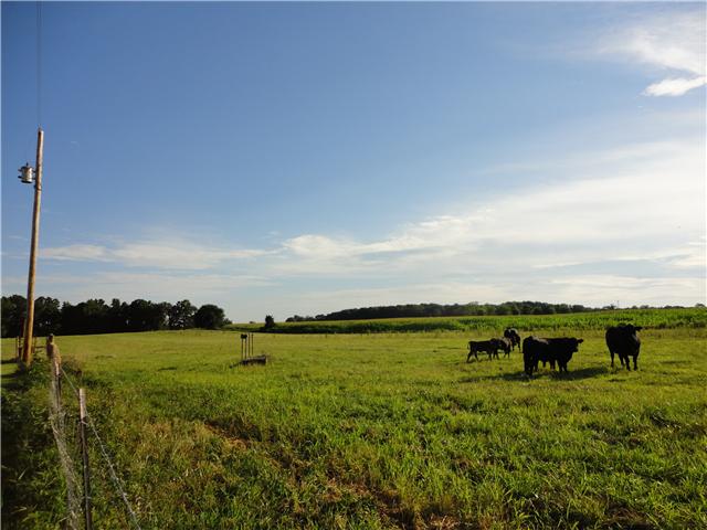 0 Williams Road Manchester, TN 37355 - Photo 3 of 3