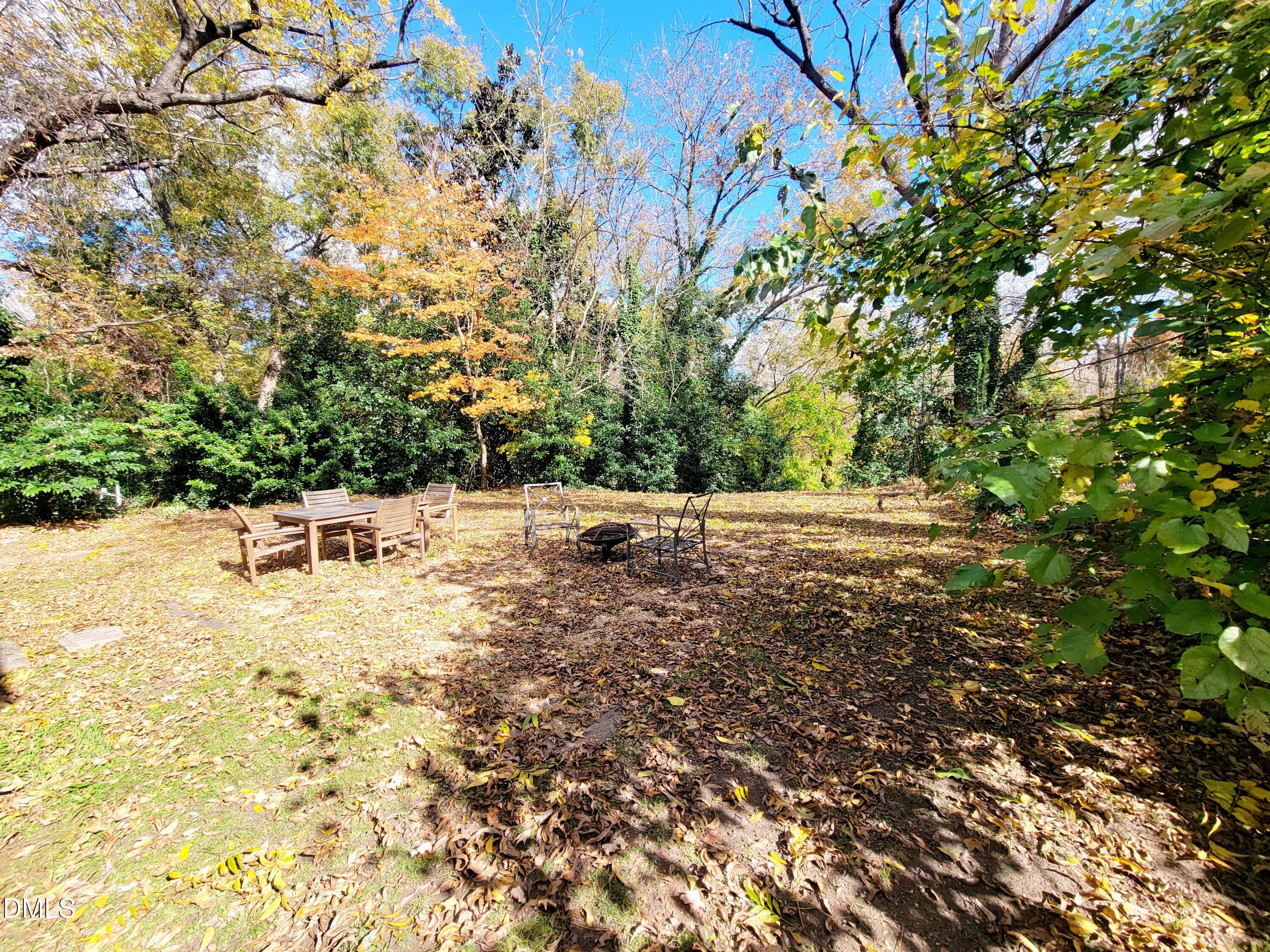 707 South East Street Raleigh, NC 27601 - Photo 40 of 46 a view of yard with trees