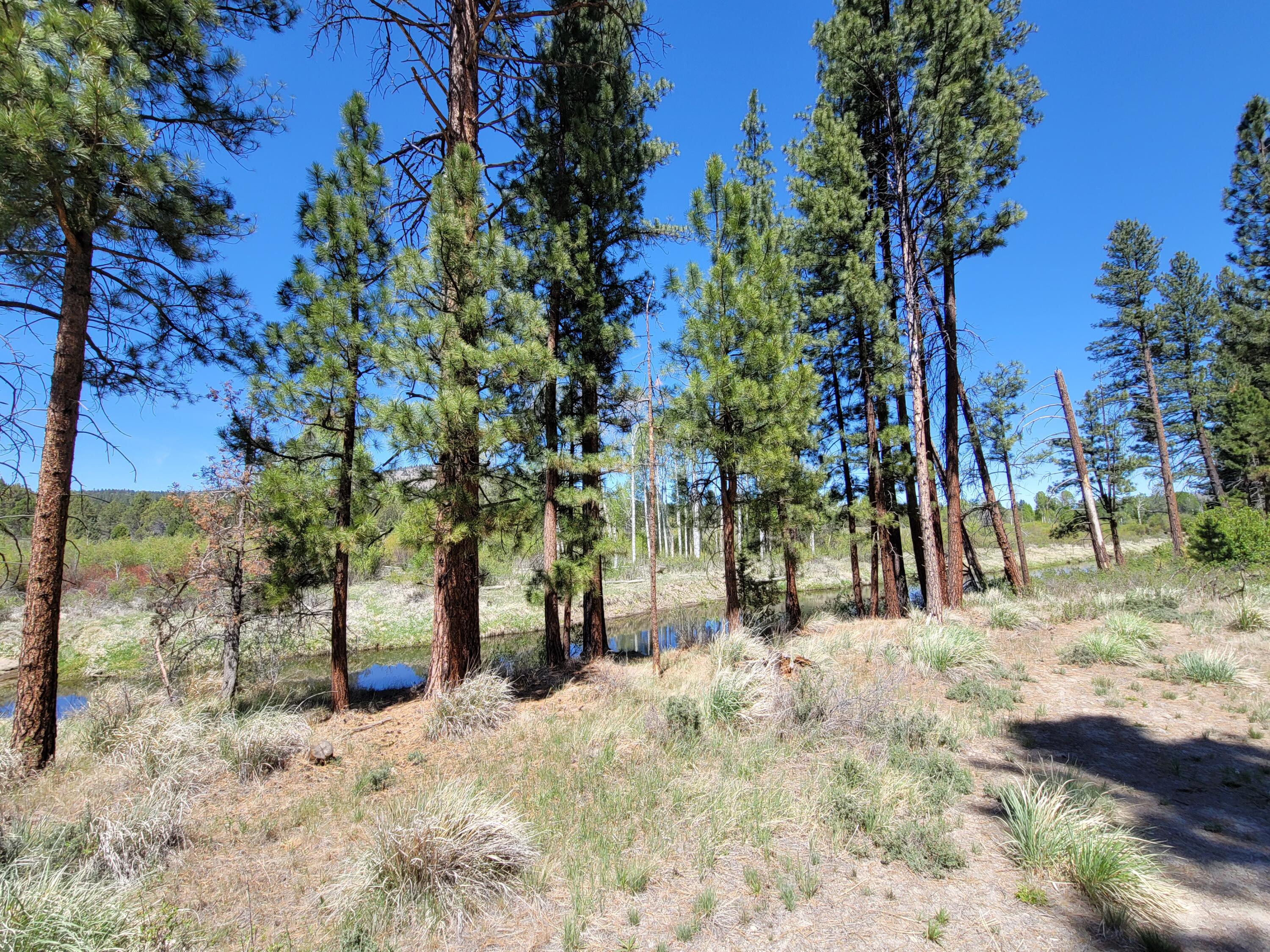 0 Or-140 Beatty, OR 97621 - Photo 15 of 16 20210528_141007
