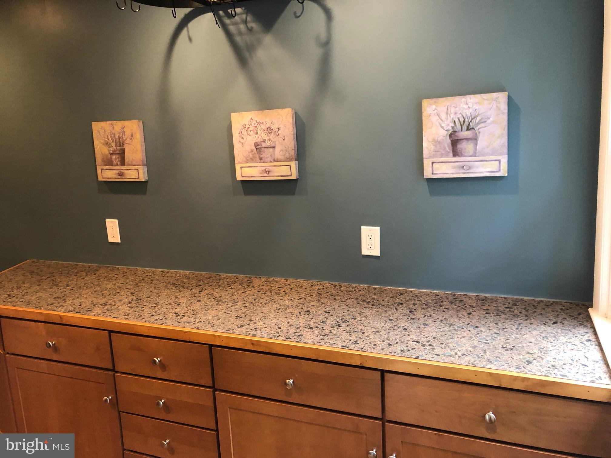 1411 Blackrock Road Swarthmore, PA 19081 - Photo 12 of 34 Ample cabinets and countertop