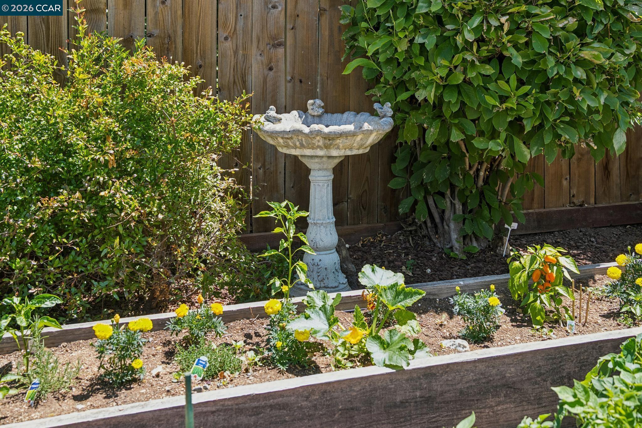 4034 Rusting Avenue Oakland, CA 94605 - Photo 42 of 52 a view of a backyard with plants and tree