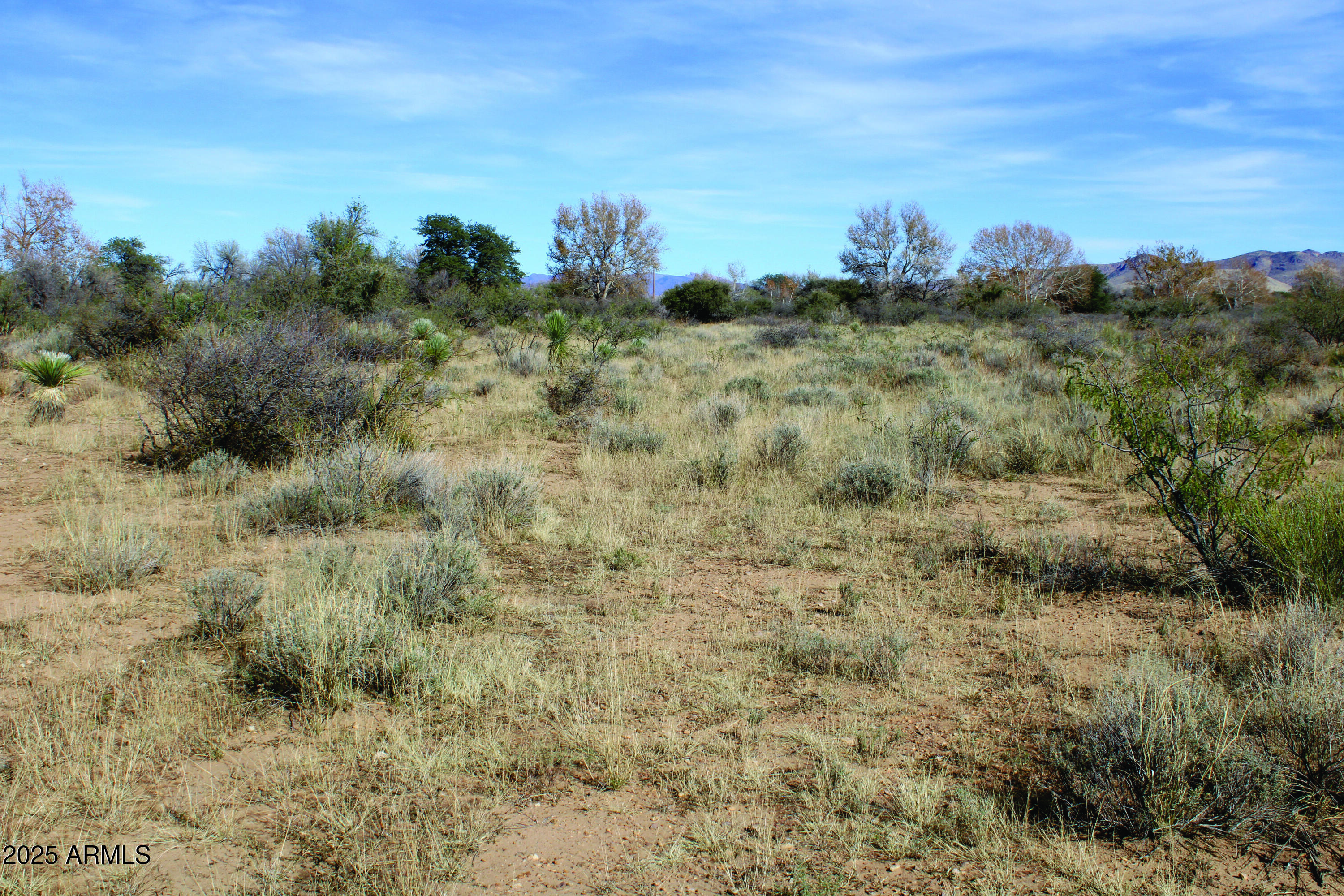 10-acres East Roadrunner Road Pearce, AZ 85625 - Photo 28 of 37 IMG_0803.JPG