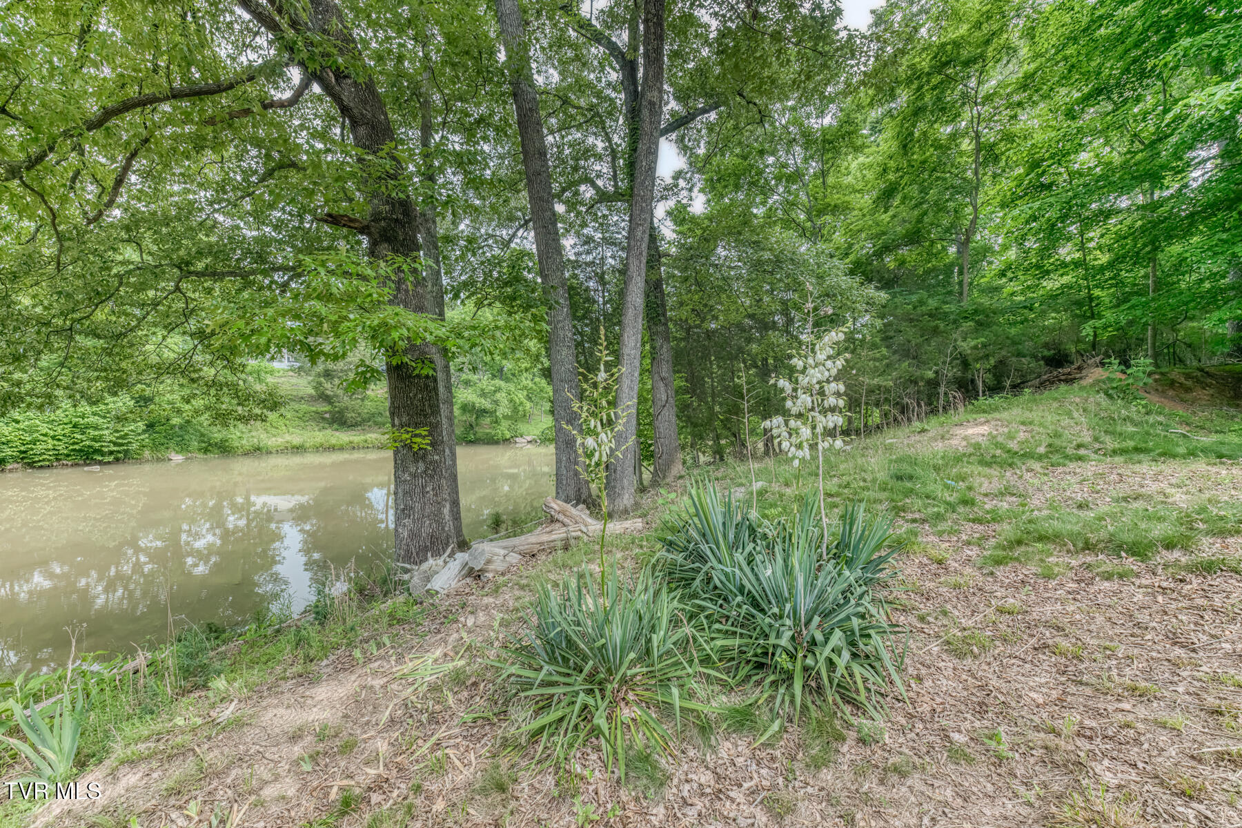 4100 Cooks Landing Road Kingsport, TN 37664 - Photo 70 of 76 4100 Cooks Landing Rd-72