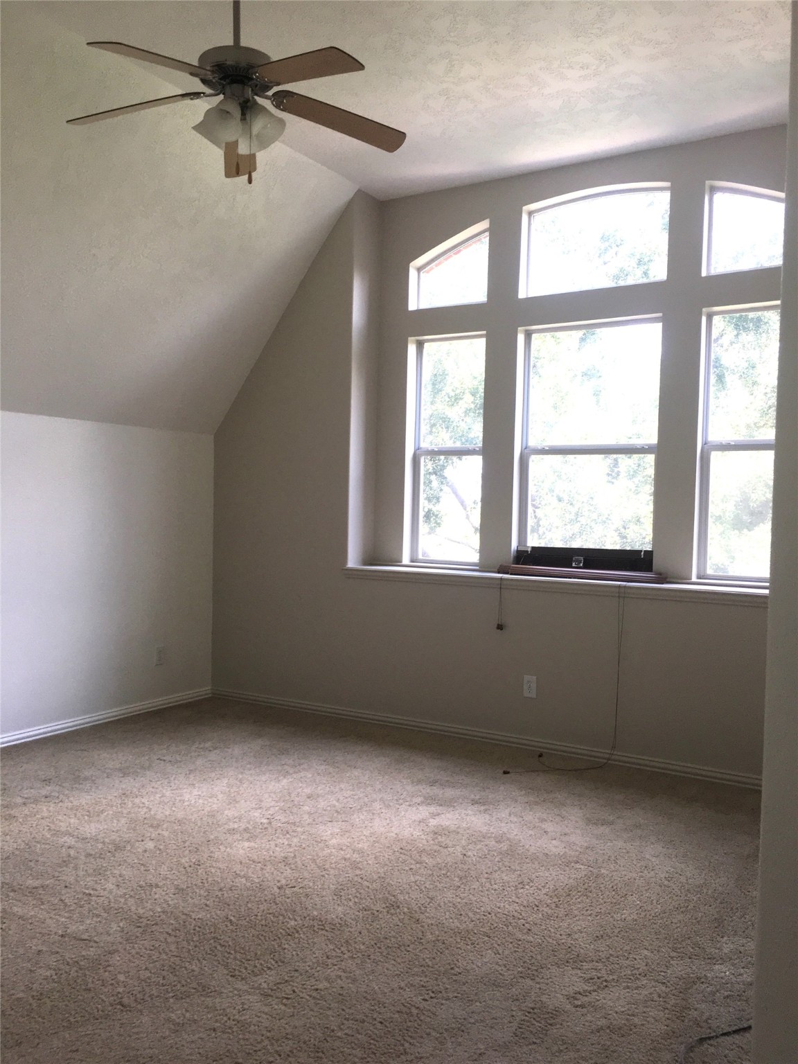 10730 Sea Myrtle Drive Houston, TX 77095 - Photo 29 of 36