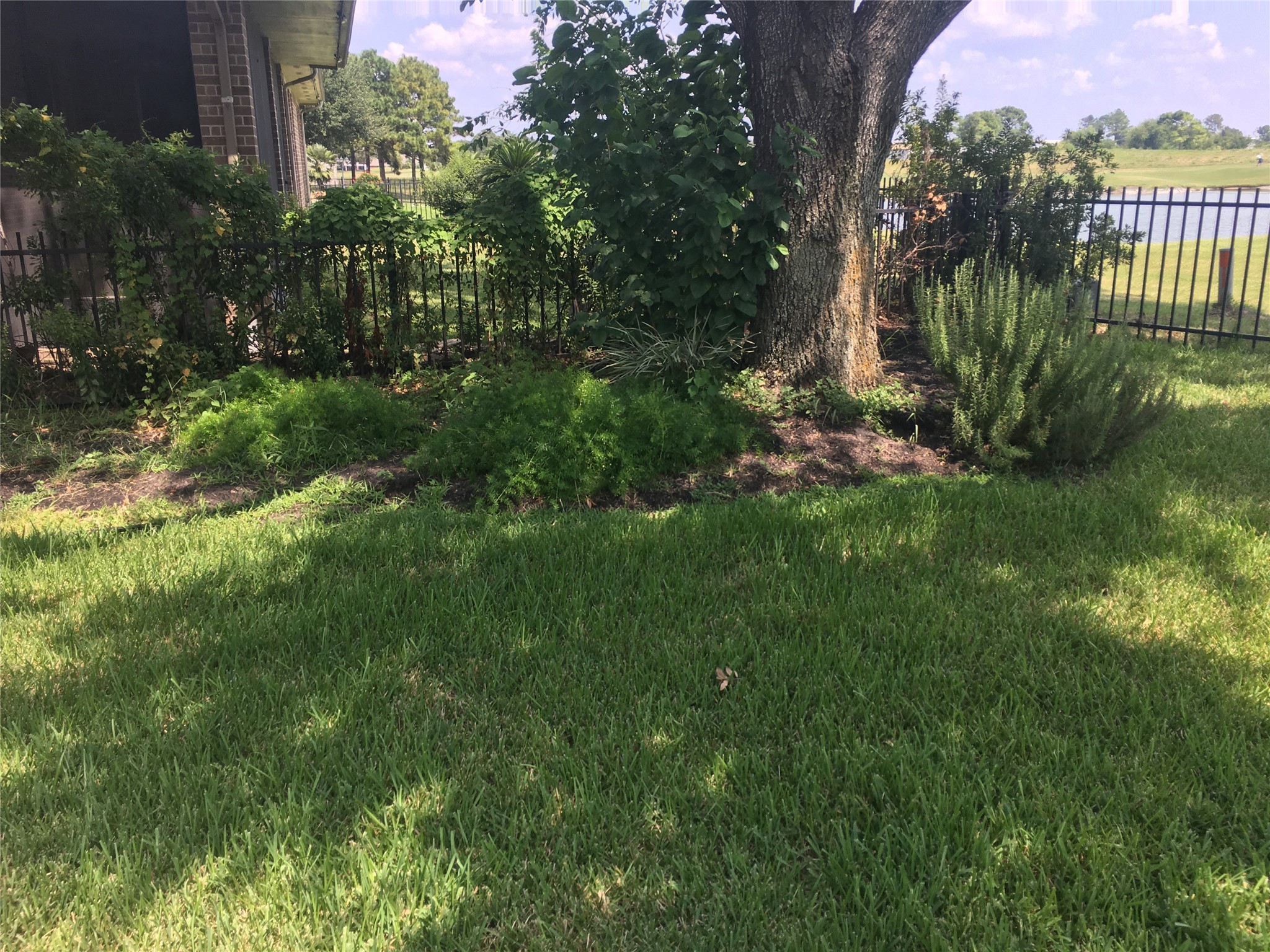 10730 Sea Myrtle Drive Houston, TX 77095 - Photo 8 of 36