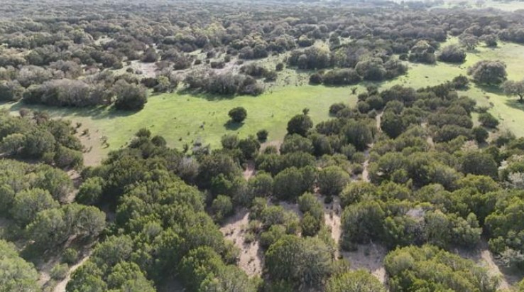 000 County 108 Road Burnet, TX 78611 - Photo 5 of 6