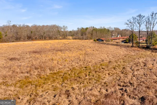 a view of a dry yard