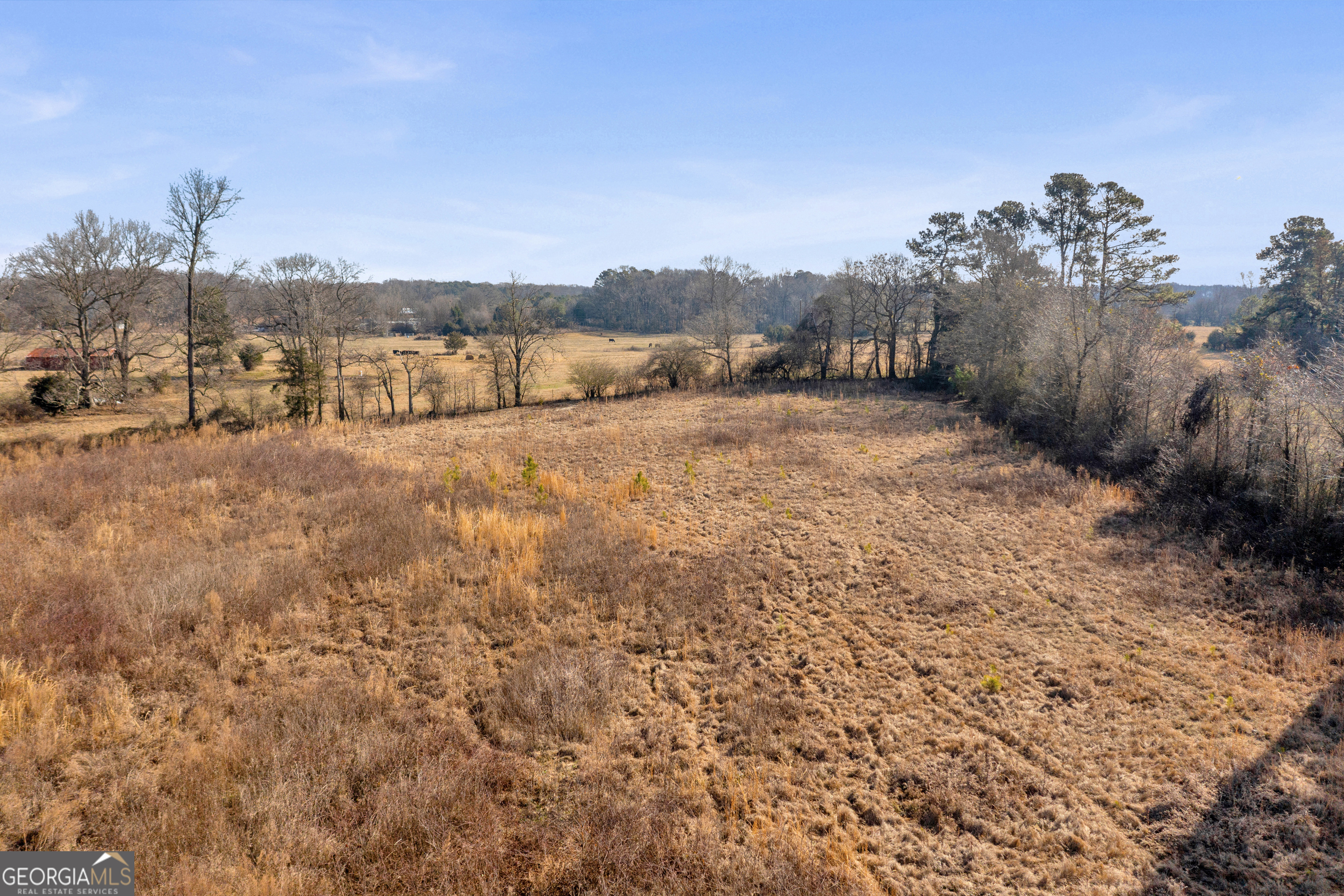 159 Alexander Ray Road Canon, GA 30520 - Photo 23 of 27 a view of a dry yard