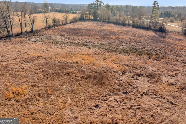 a sign that is sitting in front of a tree