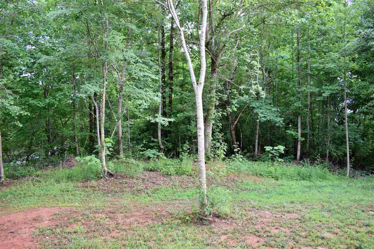 144 Morrow Road Landrum, SC 29356 - Photo 26 of 28