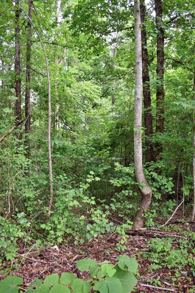 144 Morrow Road Landrum, SC 29356 - Photo 27 of 28