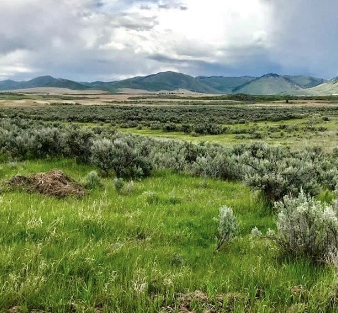 Tbd Village Road Soda Springs, ID 83276 - Photo 1 of 1 Gallery Image 1