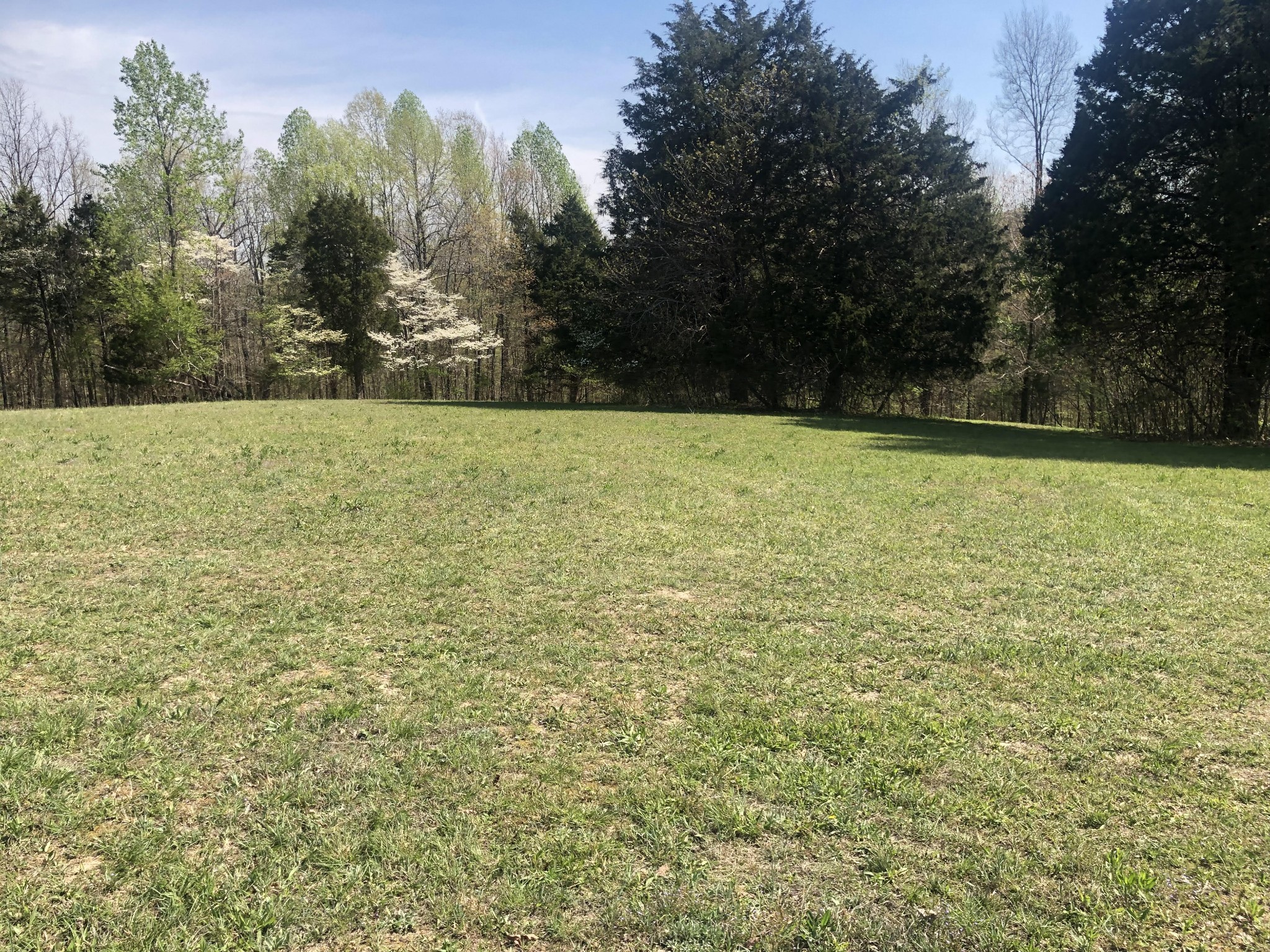 640 Nels Adams Road Dickson, TN 37055 - Photo 33 of 39 Gallery Image 33