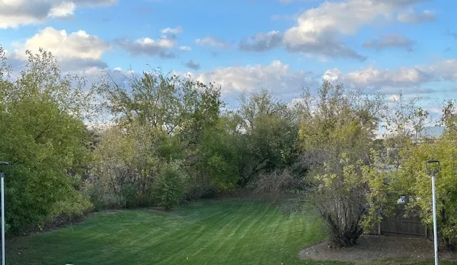 a view of a city with lush green forest