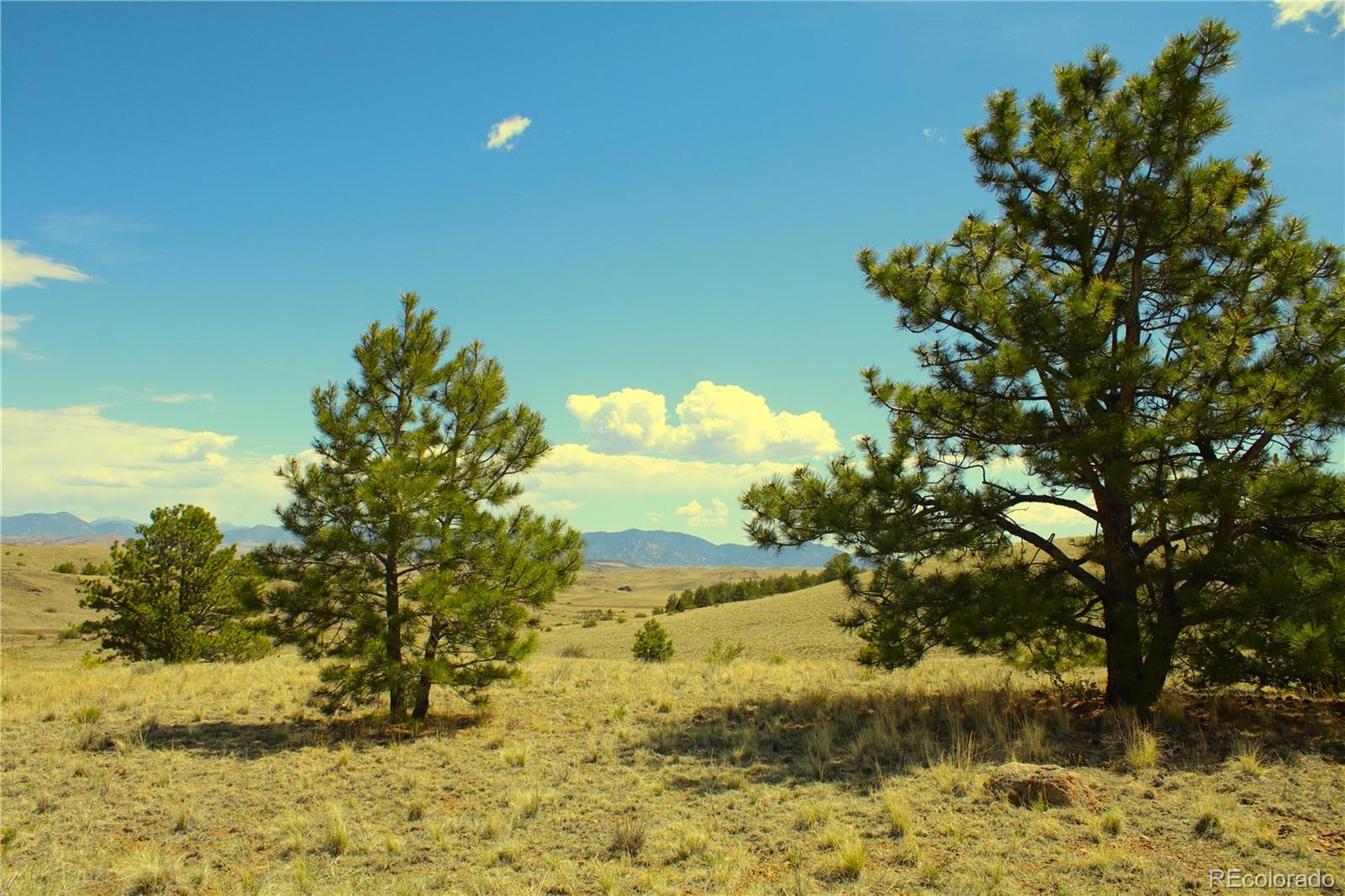 60 Hill Road Hartsel, CO 80449 - Photo 14 of 15