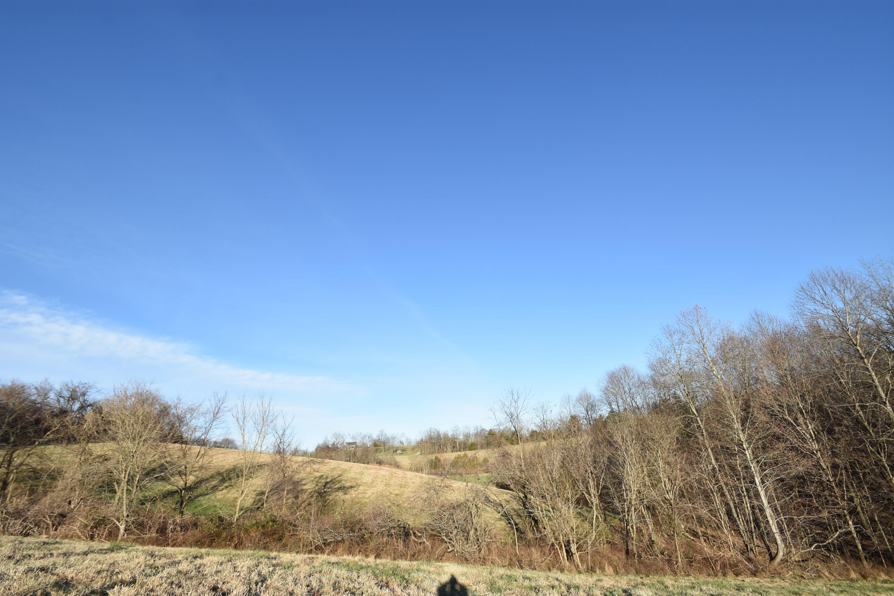 741 Chaplin Road, Unit 2 Willisburg, KY 40078 - Photo 15 of 20 015