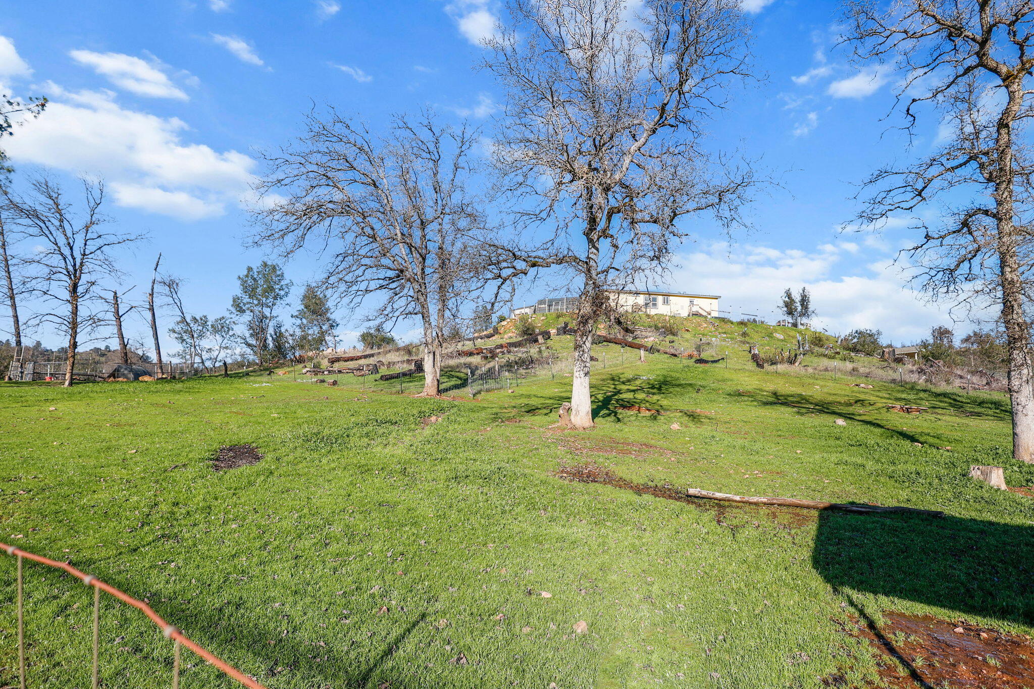 20034 Parocast Road Redding, CA 96003 - Photo 26 of 30 29-web-or-mls-_K3A5749