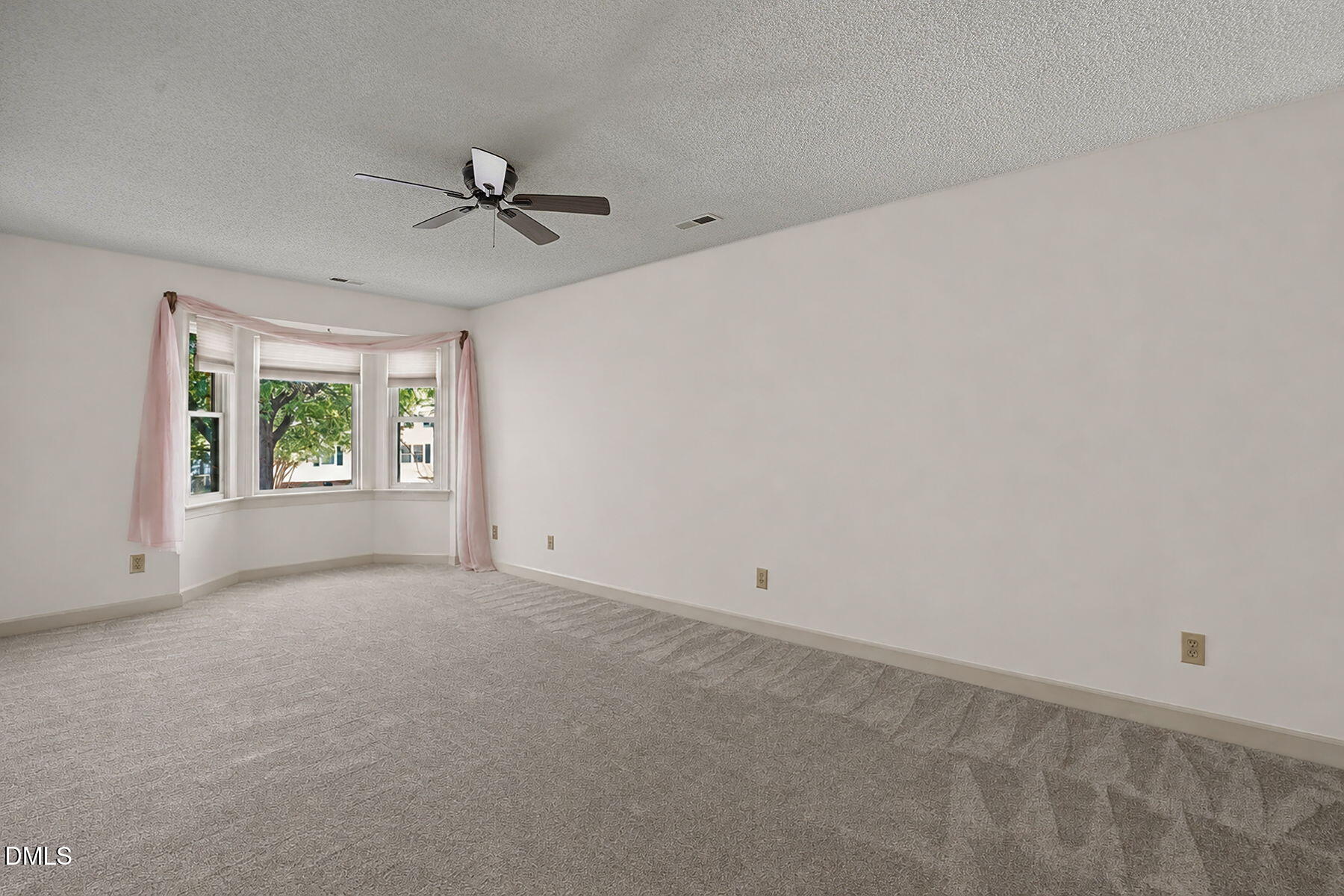 1210 Shadow Bark Court Raleigh, NC 27603 - Photo 20 of 29 an empty room with windows and ceiling fan