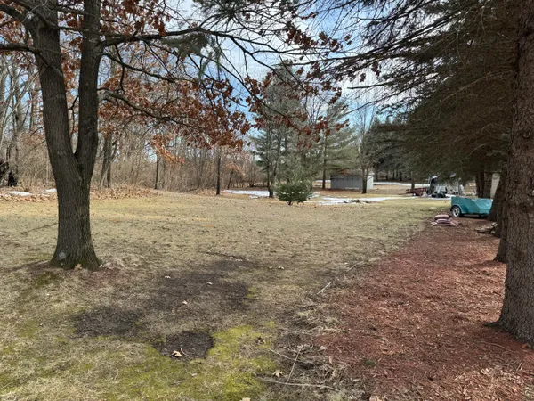 a view of dirt yard with a tree