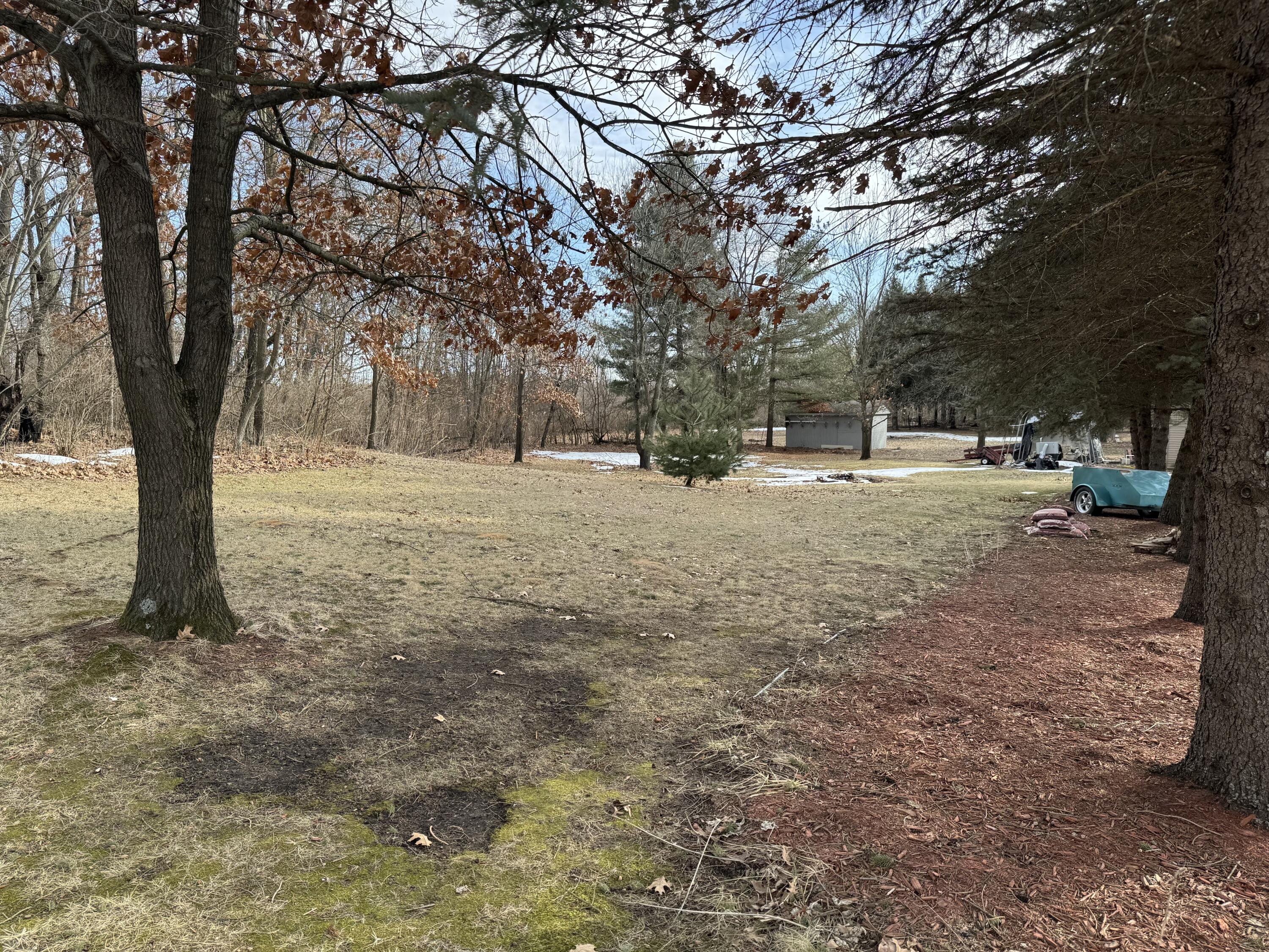 25 East Carter Street Wheatfield, IN 46392 - Photo 18 of 22 a view of dirt yard with a tree