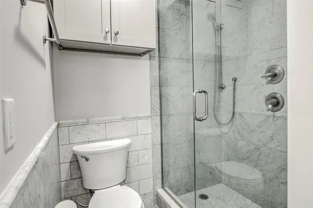 a bathroom with a toilet and a shower