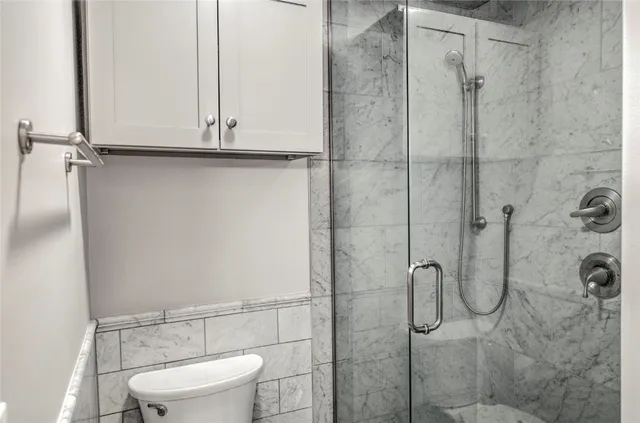 a bathroom with a shower and toilet