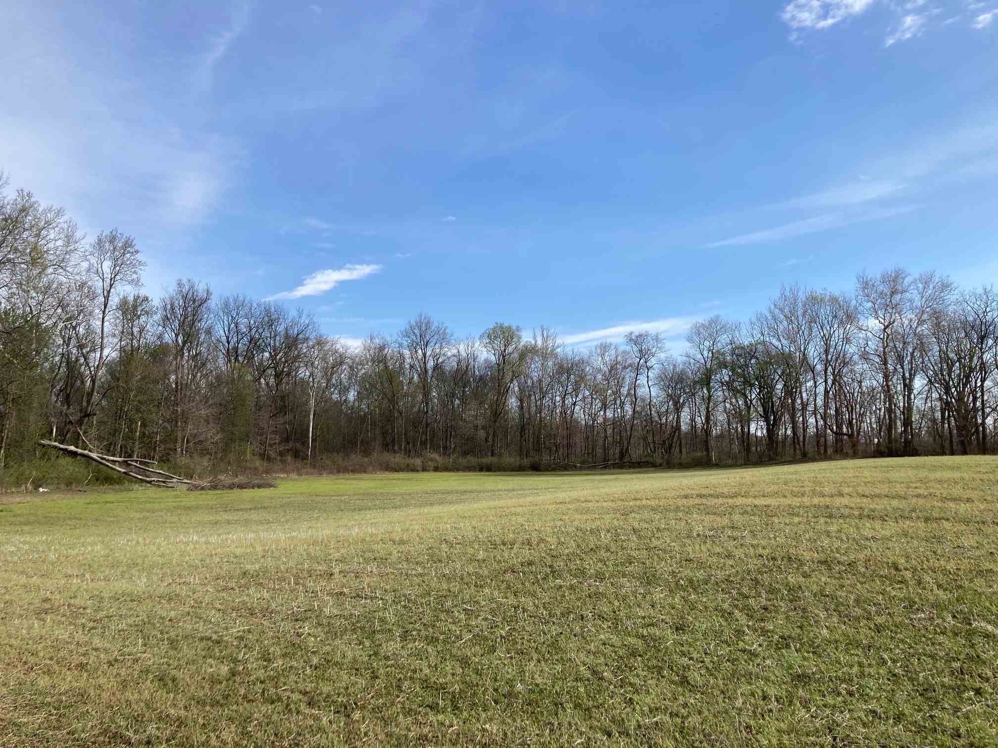 11500 St Joe Road Grabill, IN 46741 - Photo 4 of 7