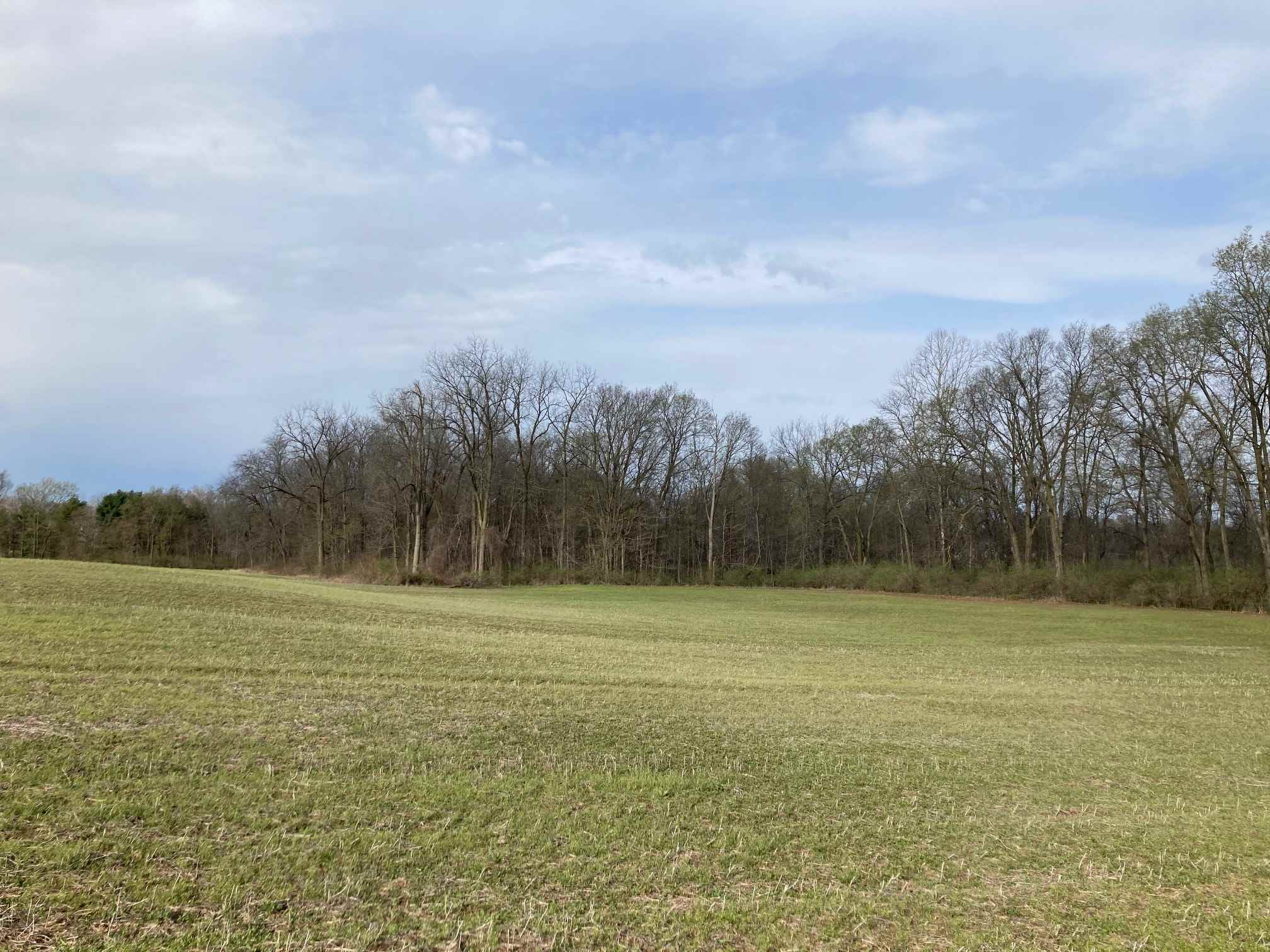 11500 St Joe Road Grabill, IN 46741 - Photo 5 of 7