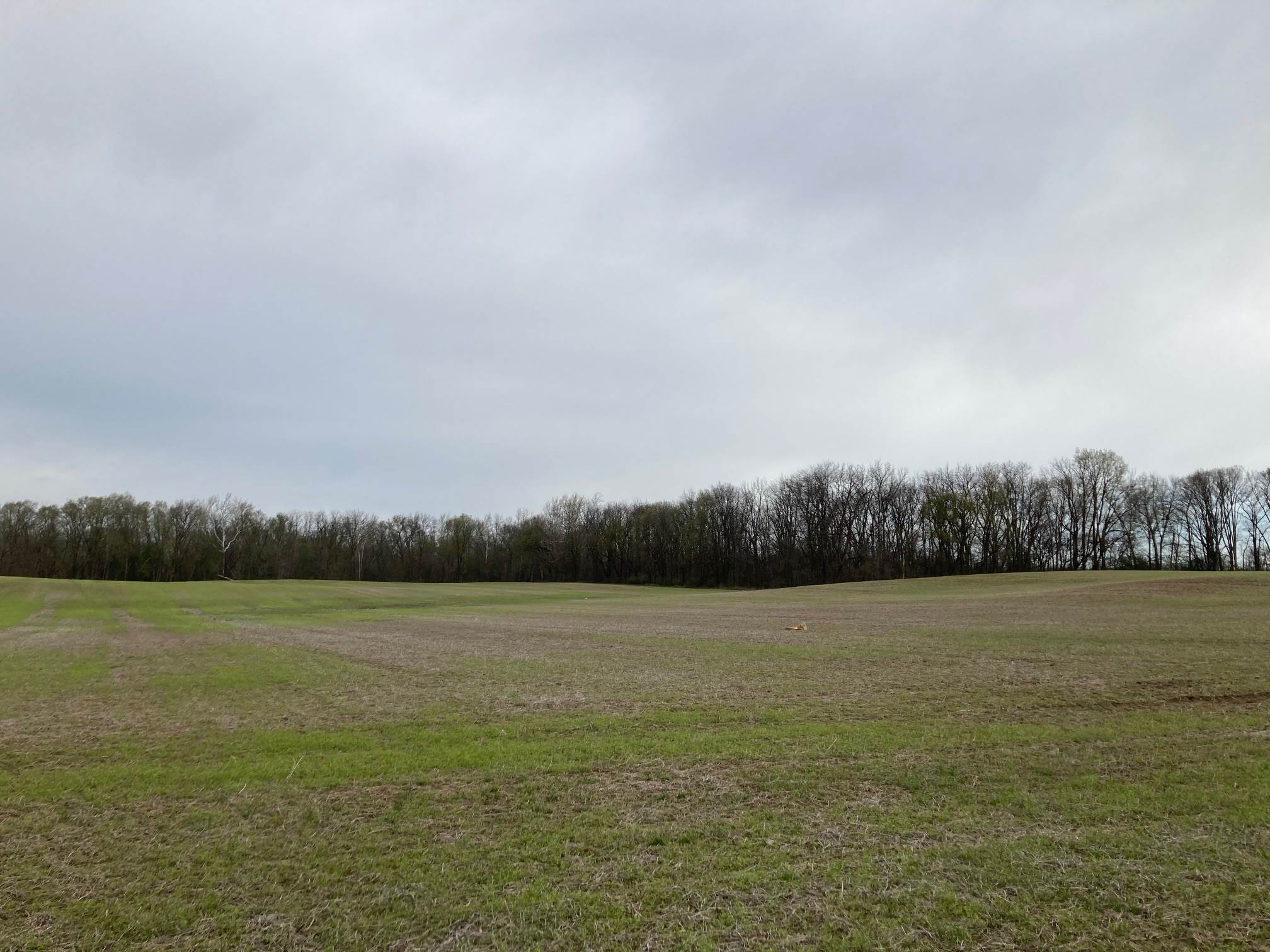 11500 St Joe Road Grabill, IN 46741 - Photo 7 of 7