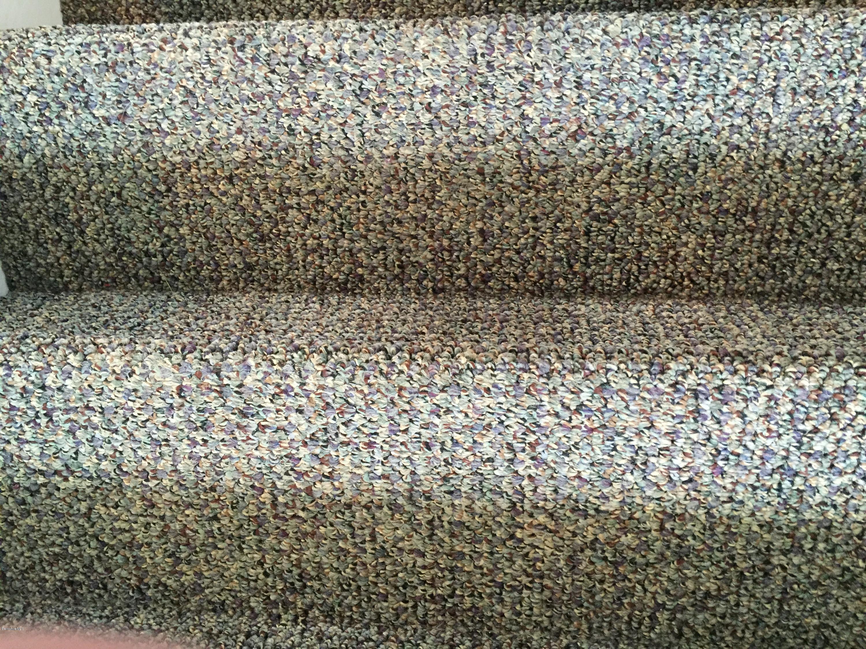 19 Alpine Trail Pittsfield, MA 01201 - Photo 16 of 22 Finest Berber Carpet