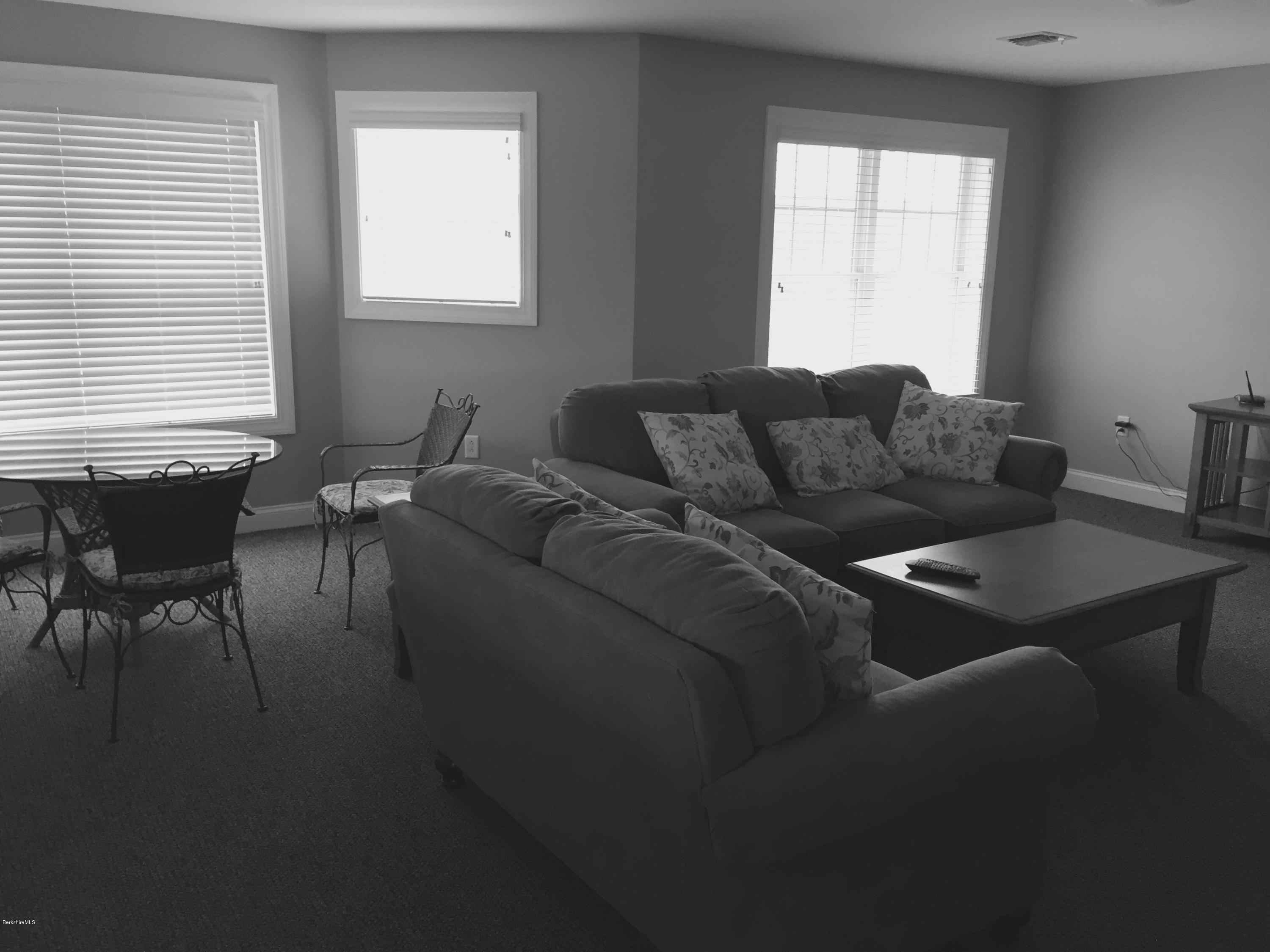 19 Alpine Trail Pittsfield, MA 01201 - Photo 19 of 22 Lower Level Family Room