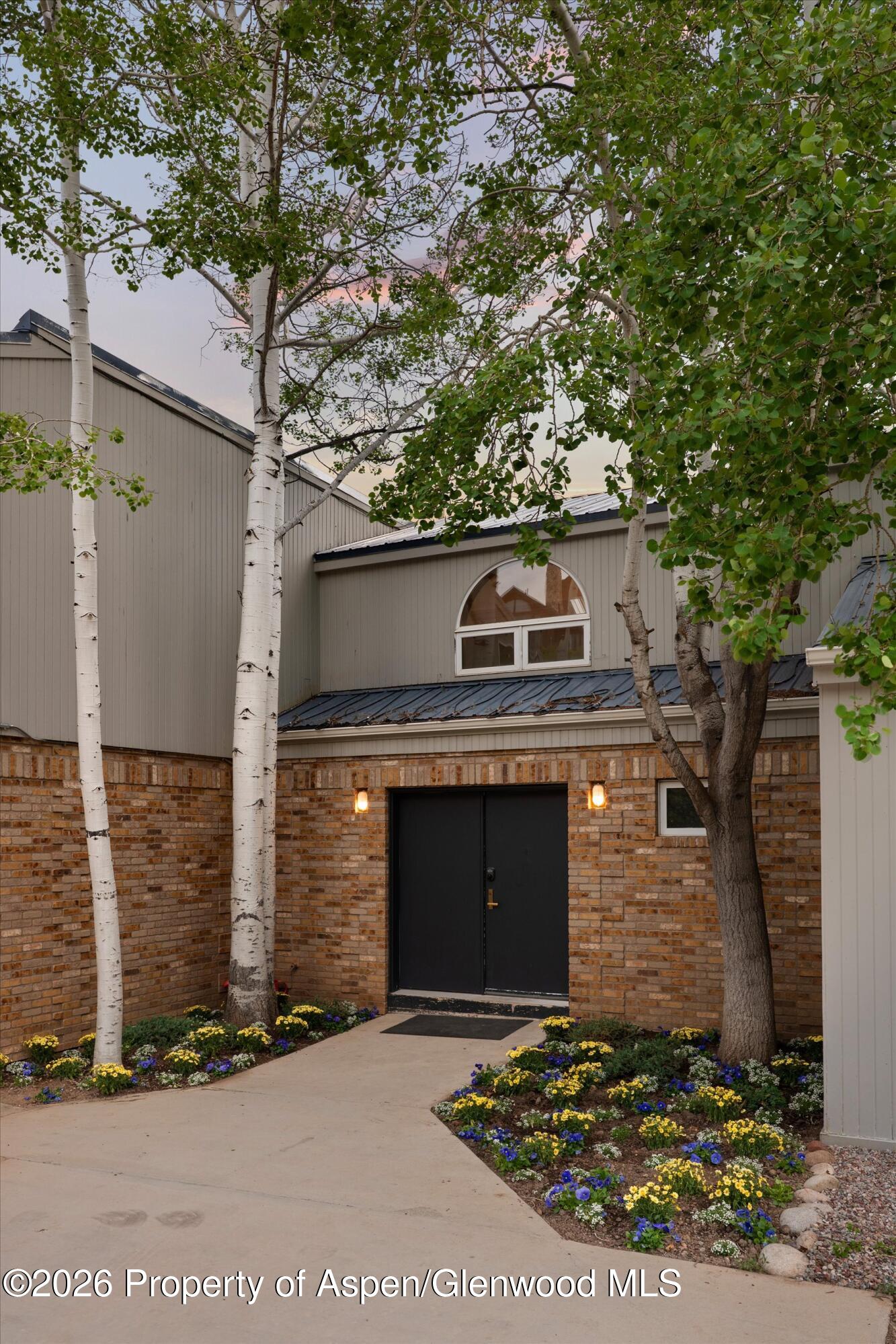 450 Solar Way Aspen, CO 81611 - Photo 41 of 64 Entry