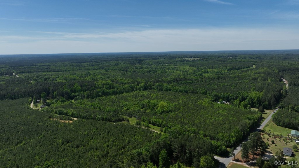 0 Brunswick Drive Alberta, VA 23821 - Photo 12 of 13 a view of a green field with lots of bushes