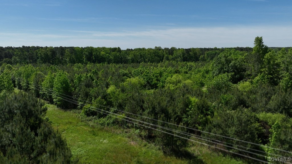 0 Brunswick Drive Alberta, VA 23821 - Photo 13 of 13 a view of a green field with lots of bushes
