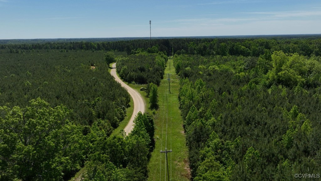 0 Brunswick Drive Alberta, VA 23821 - Photo 4 of 13