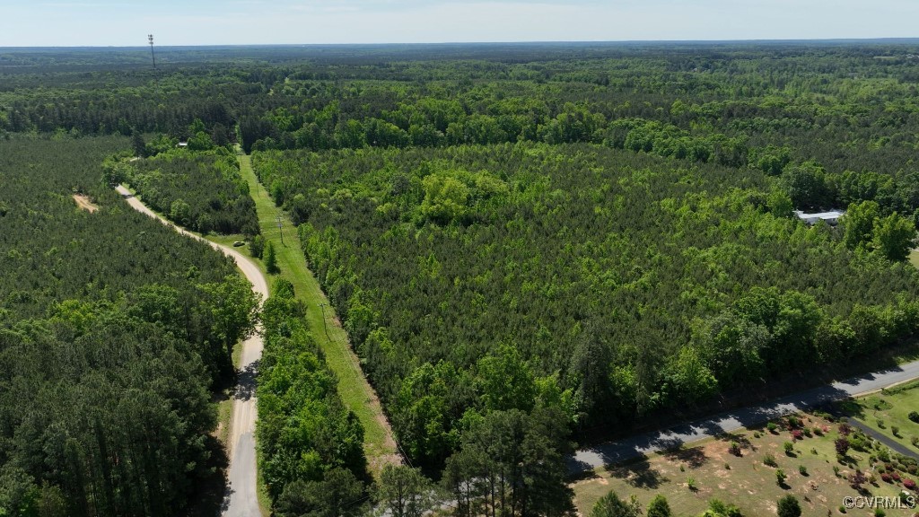 0 Brunswick Drive Alberta, VA 23821 - Photo 5 of 13 a view of a lush green forest with lawn chairs and plants